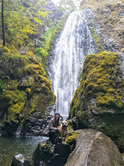A Drizzly Day at Susan Creek Falls, Oregon