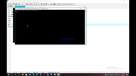 Int Variable 的图像结果