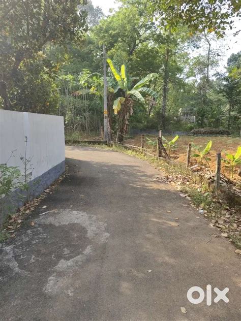 House plot for sale 12 cent - Lands & Plots - 1798448953