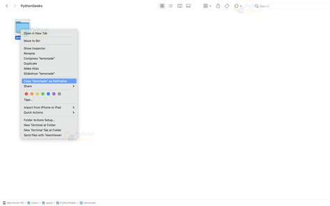 How to Copy Files Using Python 的图像结果
