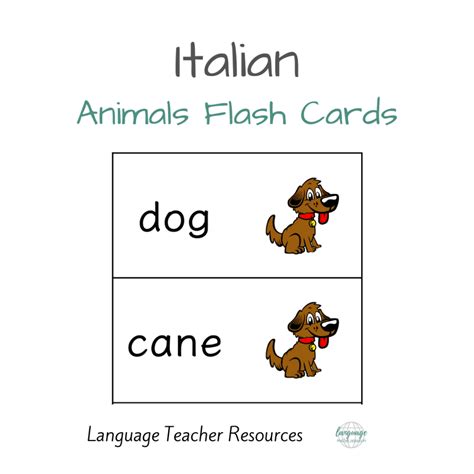 Italian Animals Flash Cards - Complete Set - Language Teacher Resources