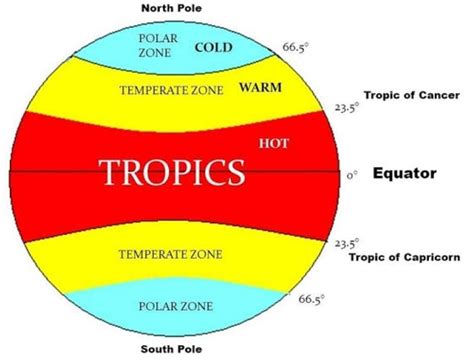 this line of latitude is just above the equator (a) tropic of capricorn ...