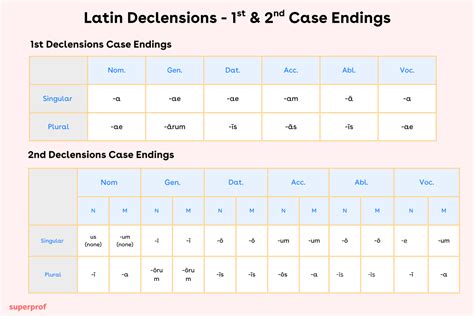 Latin Declensions Explained: Our Top Memorisation Tips