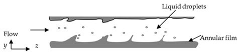 Transient CFD Modelling of Air–Water Two-Phase Annular Flow ...