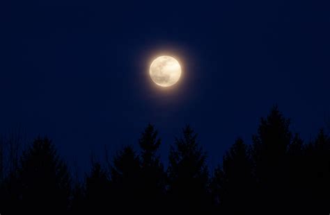 Sturgeon Moon 2022: This Month's Full Moon Might Be The Best One Yet