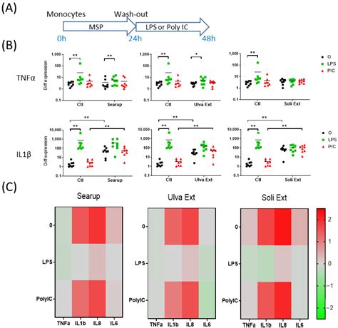 Marine-Sulfated Polysaccharides Extracts Exhibit Contrasted Time ...