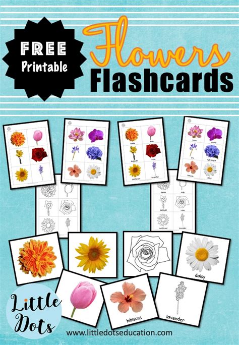 Image result for Flower Matching Game Printable