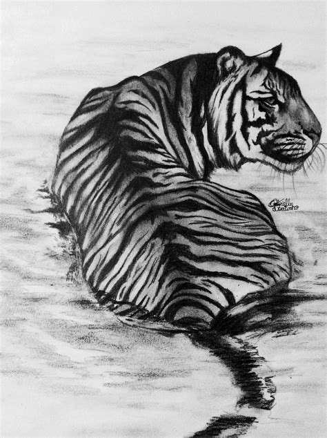 Black and White Beauty by GabrielleC-Drawings on DeviantArt