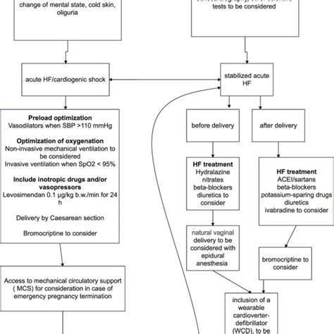 Image result for Ppcm Python Recursive