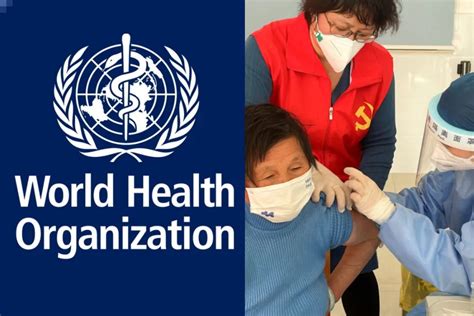 Covid-19: WHO requests more data on Covid deaths from China as 10 ...