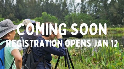 Winter Birding Series- Florida Wetlands, Lakeside Ranch Stormwater ...