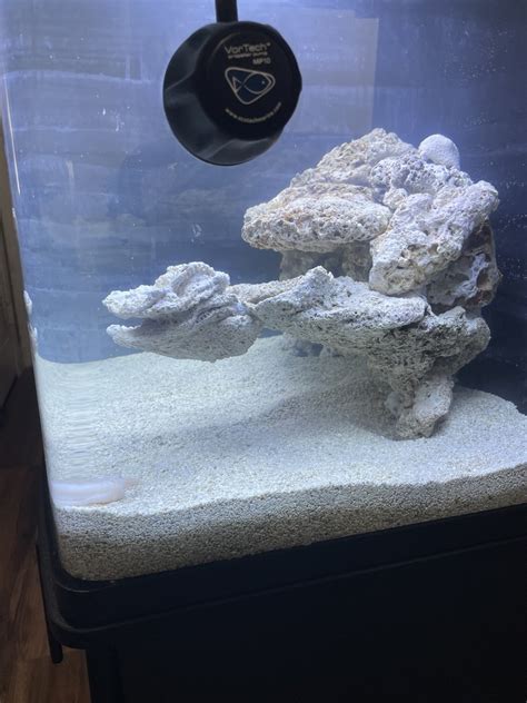 Image result for BioCube Filter Setup