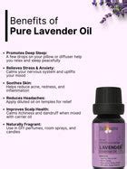 Buy Undiluted Lavender Essential Oil Online