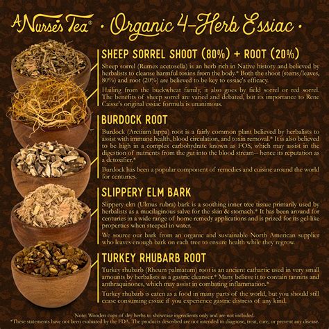 Essiac Tea Recipe Original | Bryont Blog