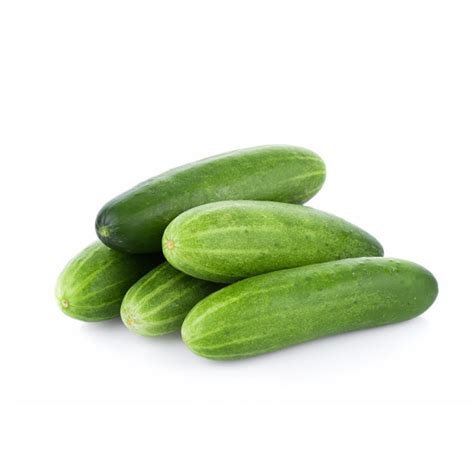 Buy Organic & Natural Food Products on Sale | The Altitude Store – THE ...