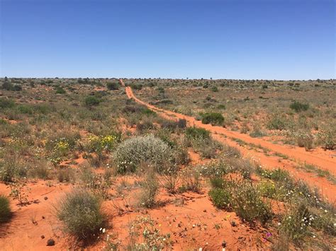 MUNGA-THIRRI (SIMPSON DESERT) NATIONAL PARK (2025) All You Need to Know ...
