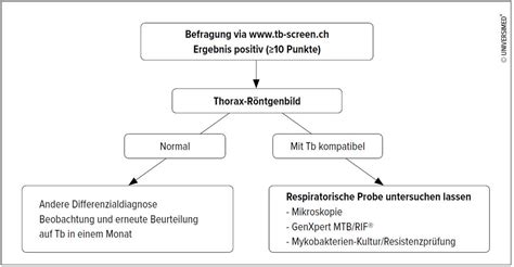 Schutzsuchende Ukrainerinnen und Ukrainer auf Tuberkulose screenen ...