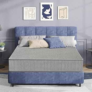 Dr. Smith Ortho Mattress Dual Comfort King Bed |8 Inch| Soft & Firm ...