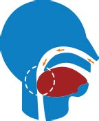 Sleep Apnea Diagnosis Process | How to Get Diagnosed | Philips