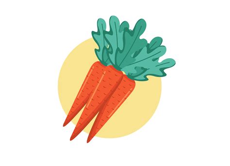 Health Benefits of Carrots, Nutritional Value and Risk Factor