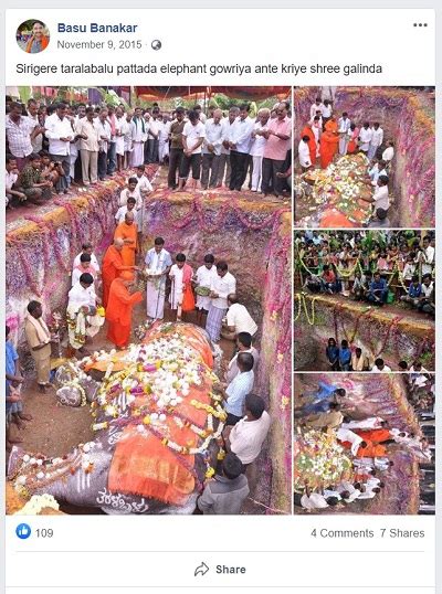 Fact check. Viral pictures about elephant funeral are not from Kerala