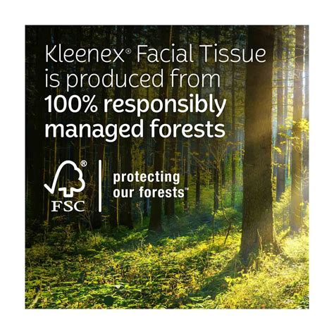 Buy Kleenex Trusted Care Facial Tissues, 2-Ply, 72 ct - 1 box from ...