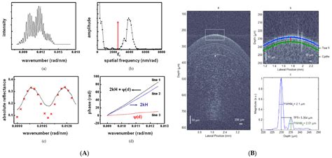 Recent Progress on Optical Tomographic Technology for Measurements and ...
