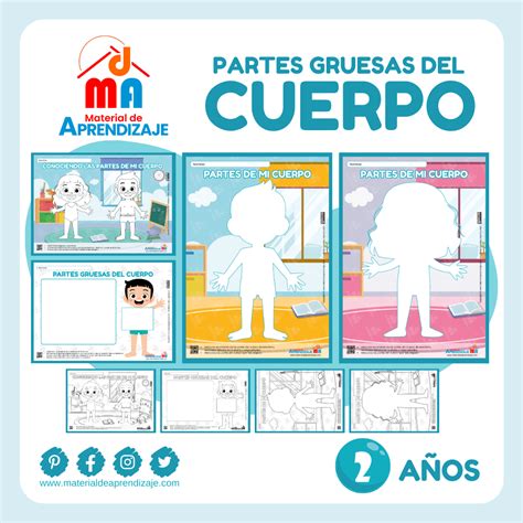 Partes Del Cuerpo Dibujo