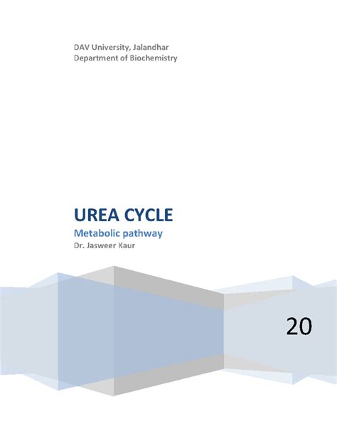 BCH103-8 Urea Cycle: Metabolic Pathway Overview and Regulation - Studocu