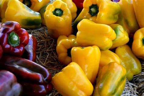 Una montagna di sapori – Peperoni ripieni - UnserTirol24