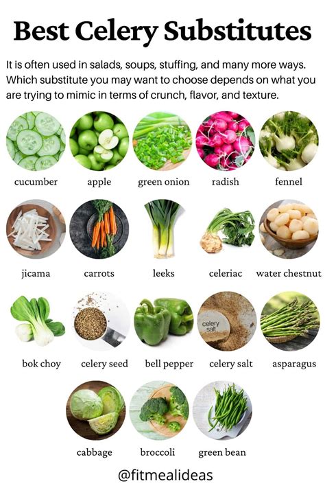 18 Best Celery Substitute For Soups, Salads, And Stuffing - Fit Meal Ideas