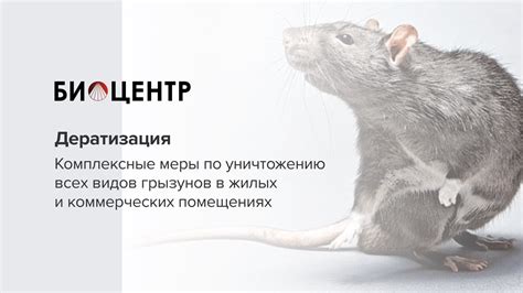 Дератизация