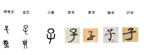 “子”字从甲骨文到现代汉字的演变过程_百度知道