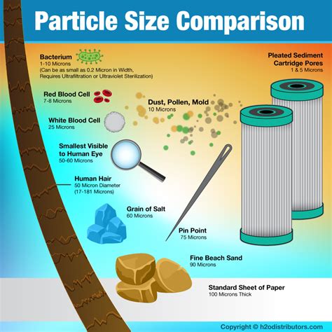 Image result for Particle Size Comparison Chart