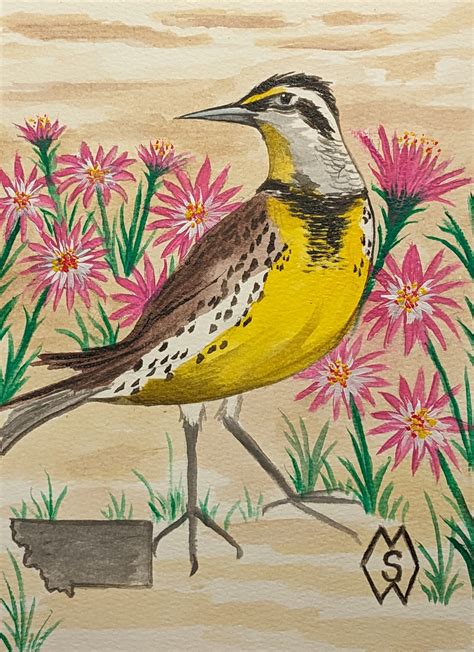 ArtStation - Montana state bird and flower, the meadowlark and bitterroot