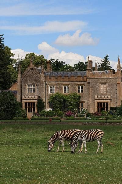 COCO-Stuff 10k - Dataset Ninja