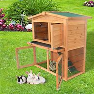 Image result for Victorian Rabbit Hutch