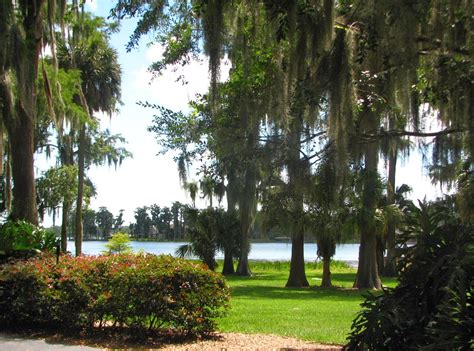 Women Talk About Life: Cypress Grove Park