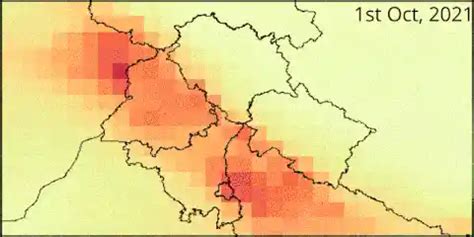 Why is paddy straw not being used to produce biomass energy to save ...