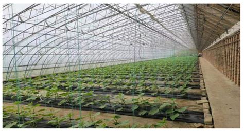The Variation of Soil Phosphorus Fractions and Microbial Community ...