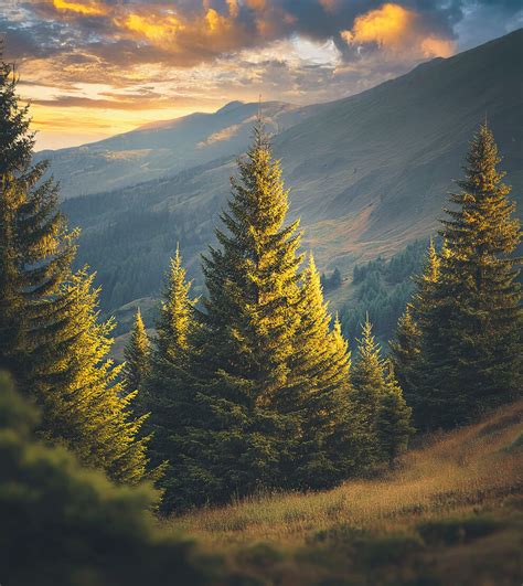 The Rev. Dr. Henry "Bing" Scherer Jr. Obituary (2025) - Enfield, CT ...