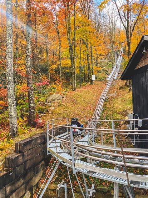 Wilderness Run Alpine Coaster: Ride Through the Mountains of North ...