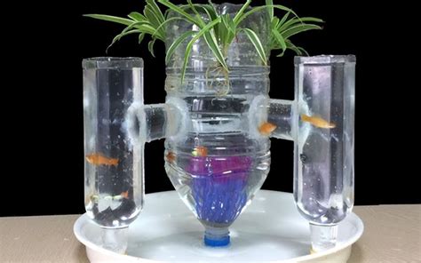 用塑料瓶和吸管就能制作自动水循环鱼缸！不用电就能给鱼持续供氧_腾讯视频