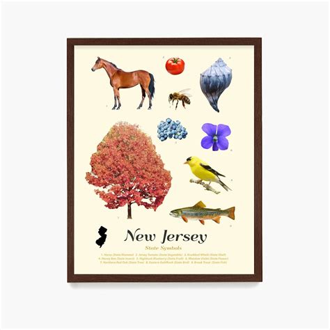 New Jersey State Symbols Poster New Jersey Art New Jersey - Etsy Australia