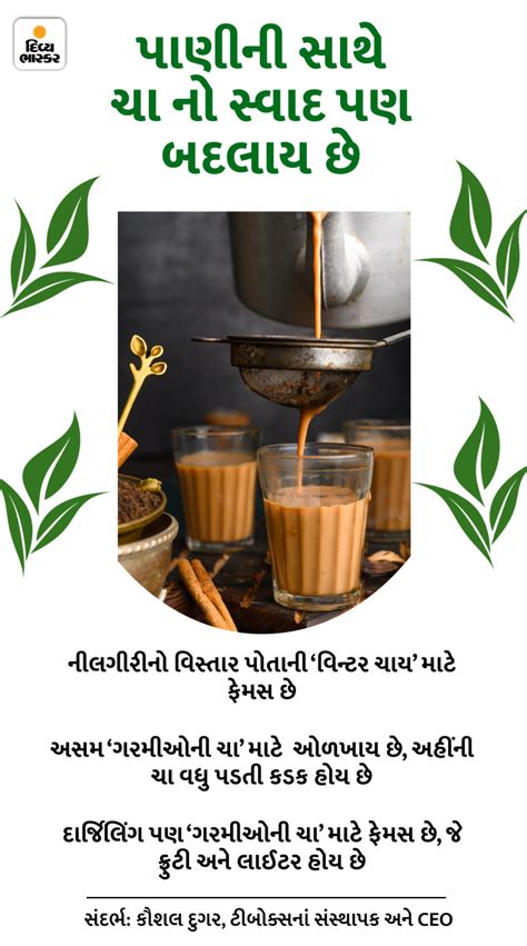 'Unfaithful Chaiwala' Serves Lovers Tea For Free, MBA Becomes Tea Seller