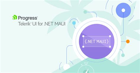 Image result for NET Maui Basics