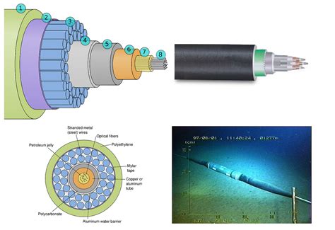 Image result for 1-Wire O2 Sensor Test
