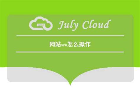 网站seo怎么操作 - 七月云