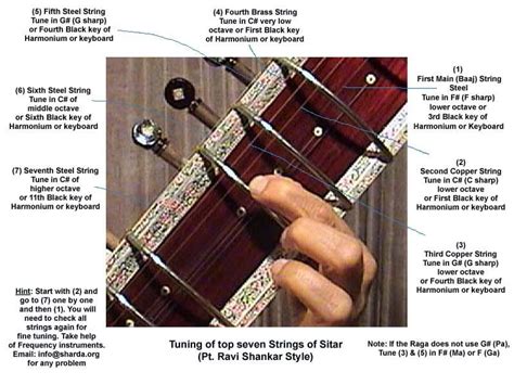 Image result for Basic Sitar