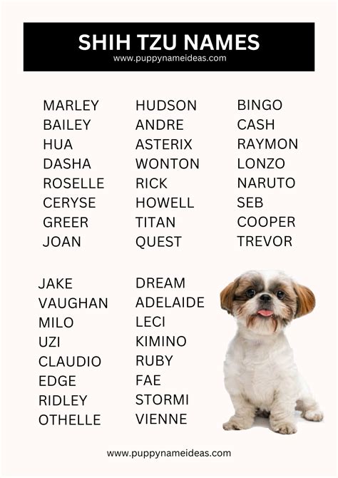 Cute Names For Shih Tzu Puppies
